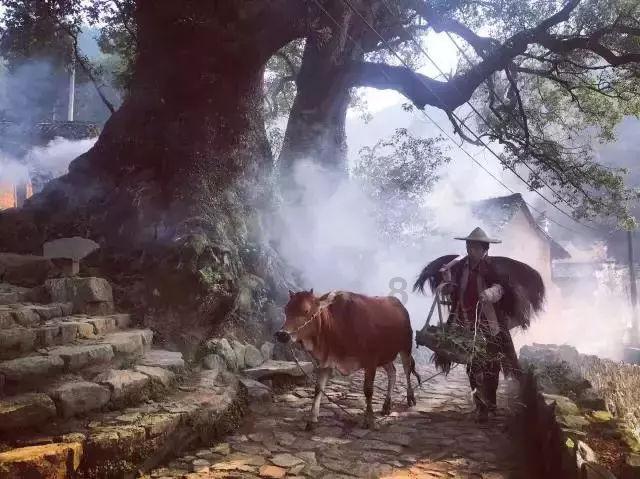 街头摇滚风