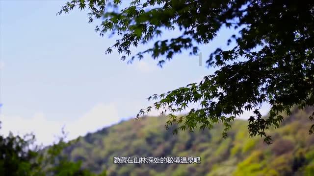 小艾比当营养师