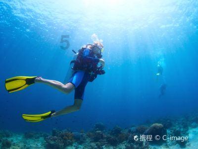 (新春走基层)山东各地手艺人赶制龙年新作迎新春