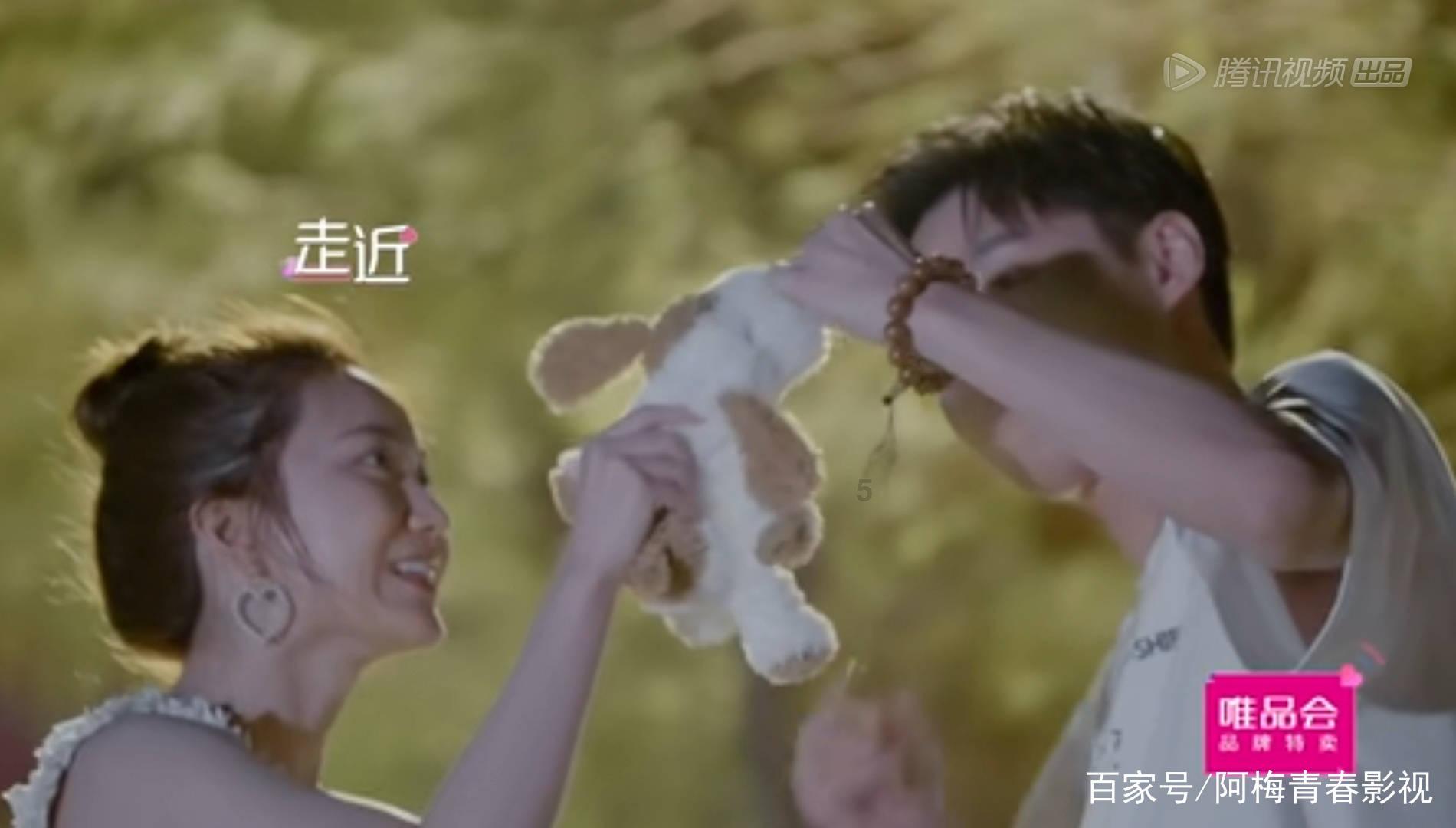 动物帮帮忙保卫家园