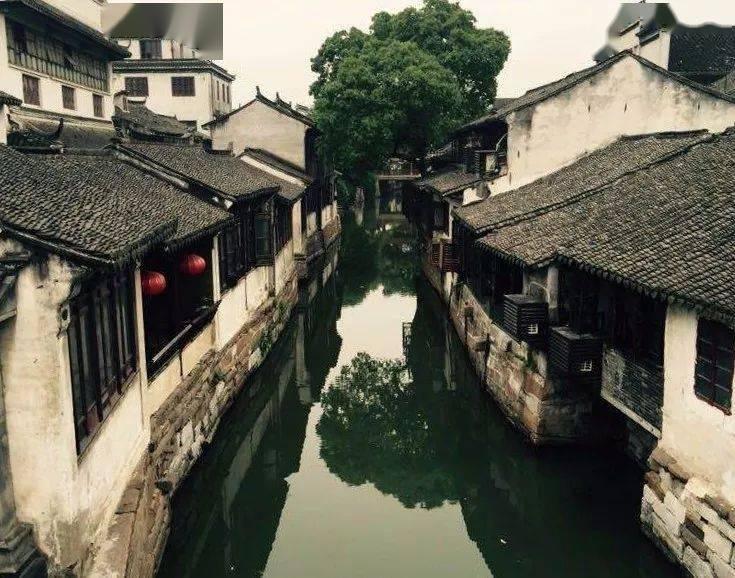 老爹寿司店中文版